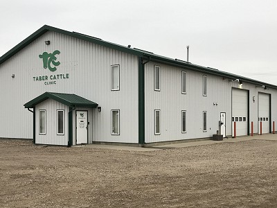 Coaldale Veterinary Clinic Location